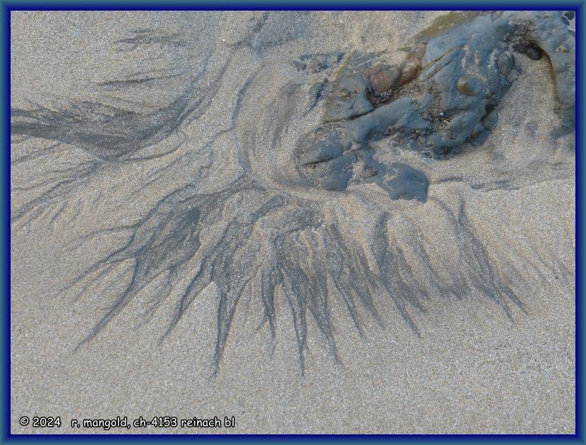 stillleben, vom wasser in den sand gemalt, in der anaura bay (neuseeland nordinsel) am 09.12.2017