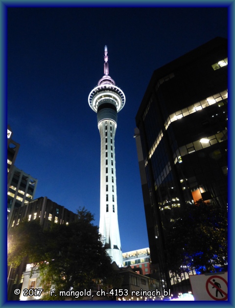 der skytower in der parallelstrasse zu unserem hotel