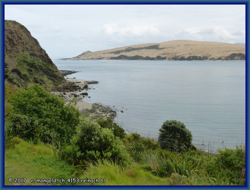 die bucht am meerseitigen ende des hokianga harbours