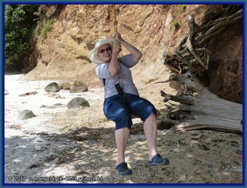 rita geniesst das schaukeln unter einem pōhutukawa-baum