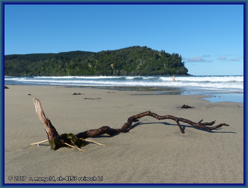 die bucht von whangamata, auf dieser reise im strahlenden sonnenschein