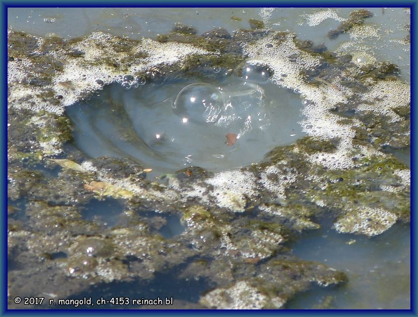 es blubbert in kochend heissen, grsseren und kleineren wassertpfen