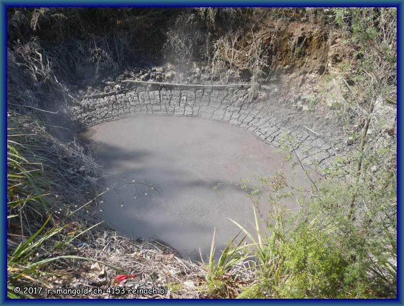 ein dampfender, kleiner teich, der leicht schlammiges wasser enthlt