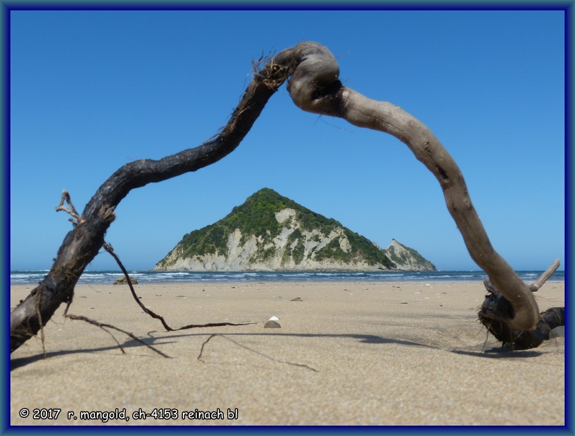 die insel motuoroi liegt etwa 1 km ausserhalb der bucht