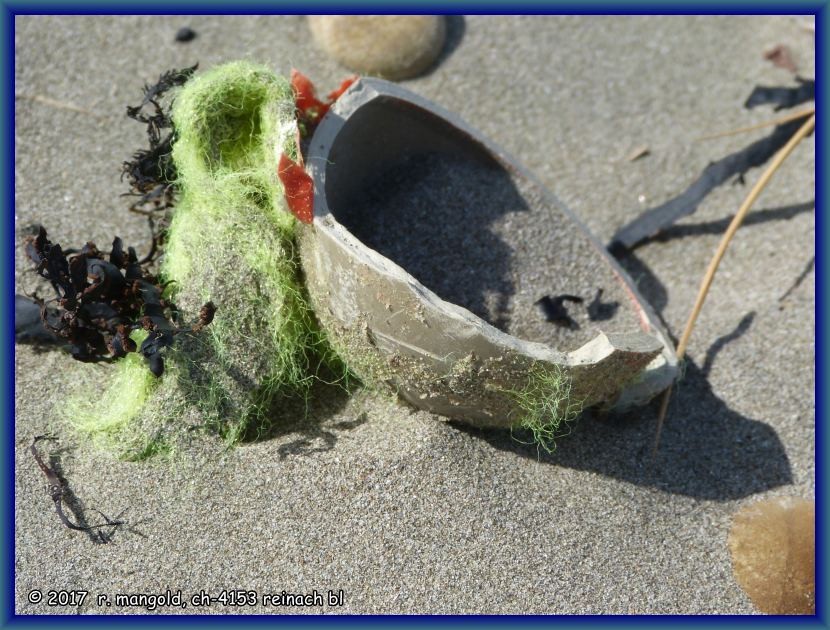 die hlfte eines tennisballs als strandgut im sand<