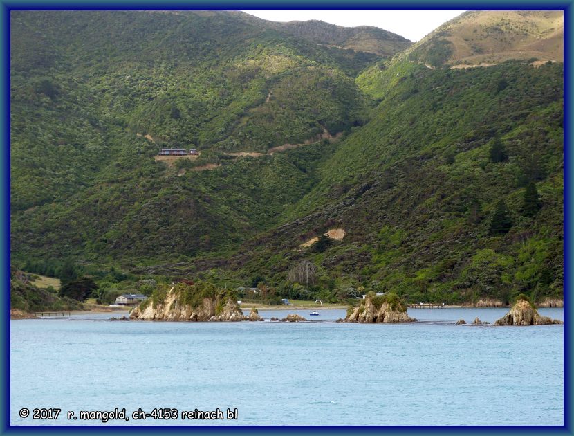 eine der vielen buchten der marlborough sounds bei der einfahrt zur sdinsel