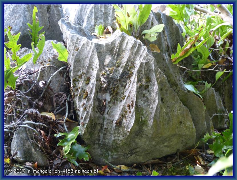 am hawkes lookout hat es verschiedene solche karst-felsformationen