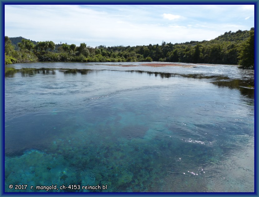 das riesige becken des glasklaren artesischen brunnens der waikoropupu springs