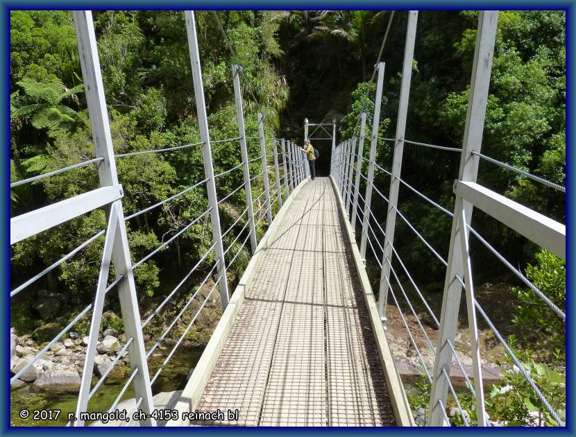 eine hngebrcke ber den bach auf dem weg zu den wainui falls