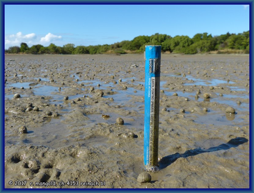 dieser ausgebrannte feuerwerkskrper steckt senkrecht im schlick des inlets