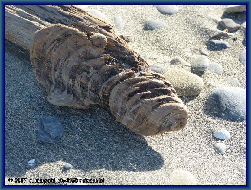 die vom wind getriebenen sandkrner sind hier deutlich als striche zu erkennen