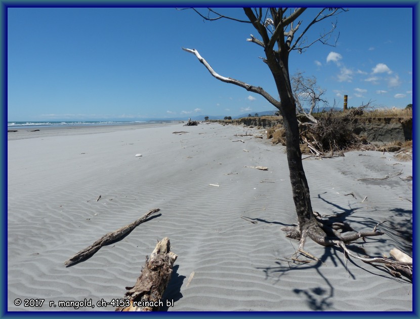 der strand von carters beach war sehr windig und bot keine grosse auswahl an sujets