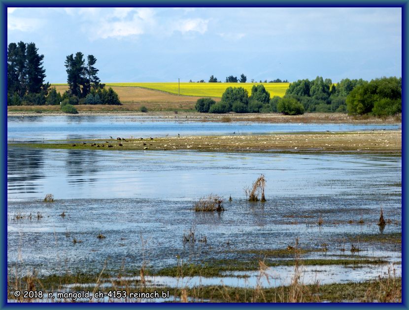 bebaute felder am gegenberliegenden ufer des lake opuha