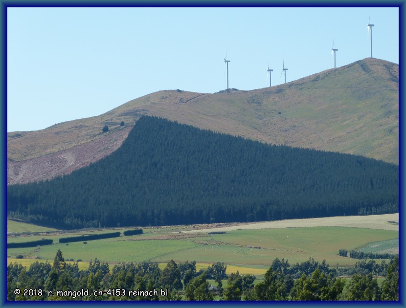 ein teil der windfarm in mossburn, links ein abgeerntetes waldstck