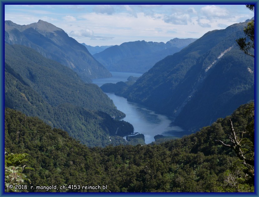 blick von der passstrasse hinunter in den doubtful sound