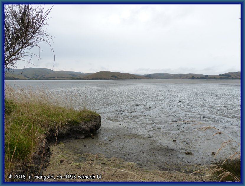 ebbe in einer bucht wieder in der ebene an der strasse nach balclutha