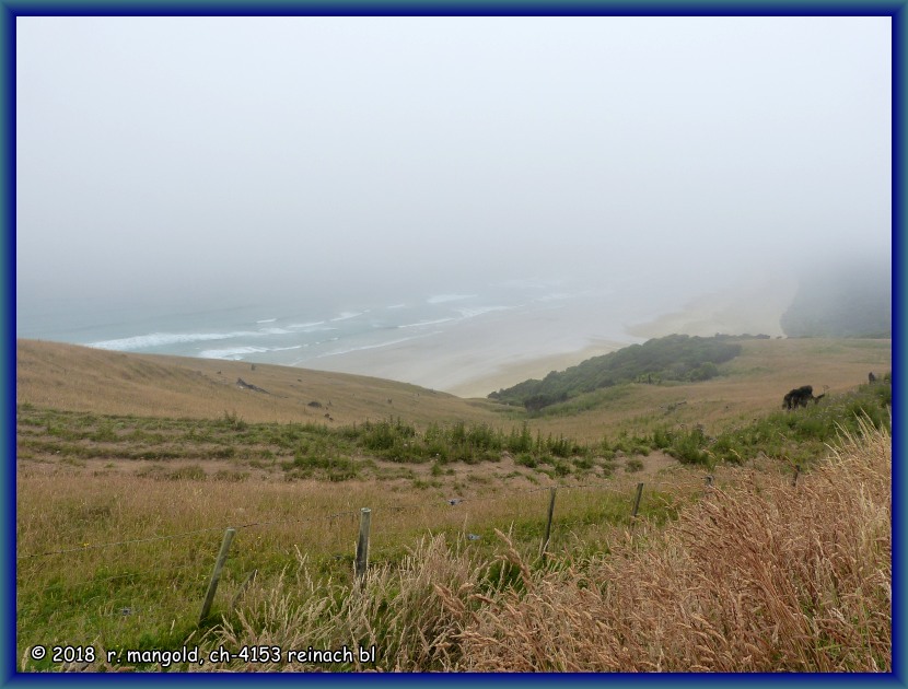 einmal von einem aussichtspunkt bei trbem wetter nur nebel mit meer