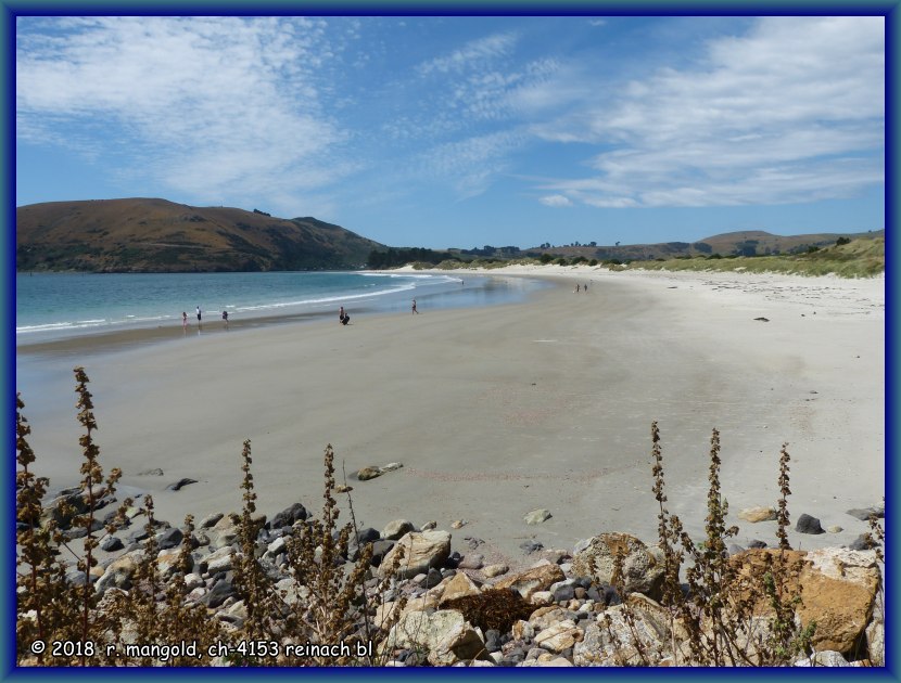 der strand der bucht von aramoana gegen den harrington point