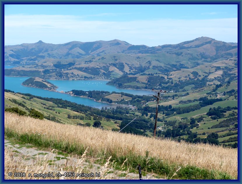 sicht von der summit road hinunter in die bucht des akaroa harbours