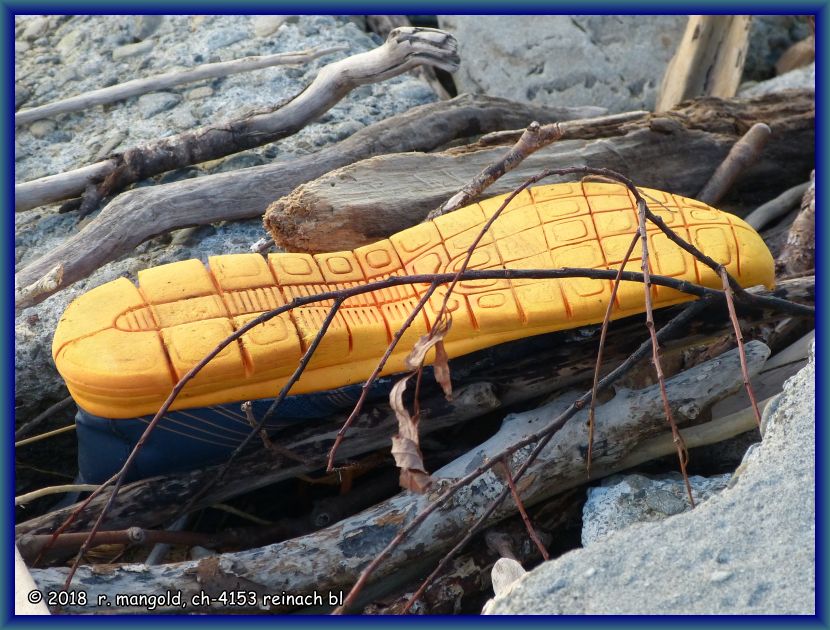 ein angeschwemmter turnschuh neben anderem mll zwischen steinen am strand