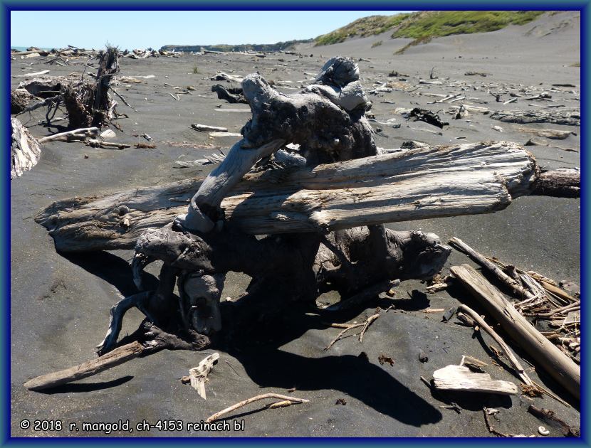 auch der strand von patea beach ist mit schwemmholz berst