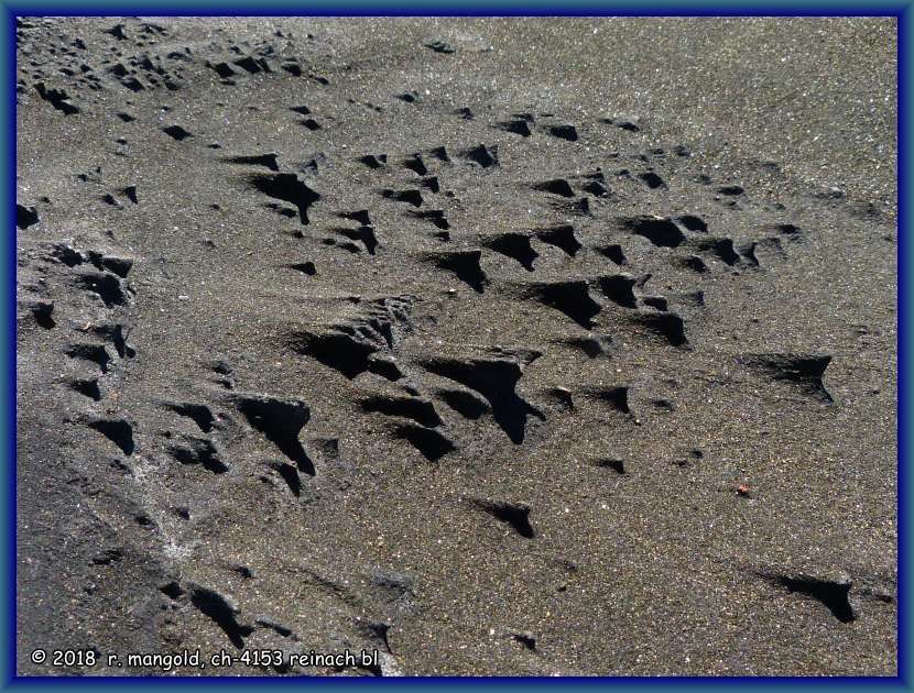 der wind hinterlsst kleine skulpturen im sand am strand