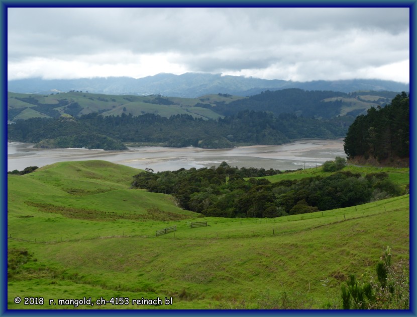 blick von einem aussichtspunkt in eine bucht an der westseite der coromandel-halbinsel