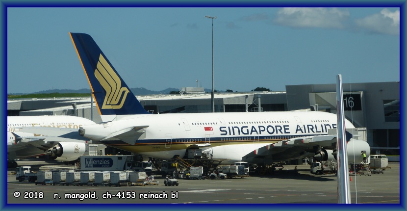 unsere maschine, eine airbus a380/800, steht am gate 16 bereit, um uns nach singapur zu bringen