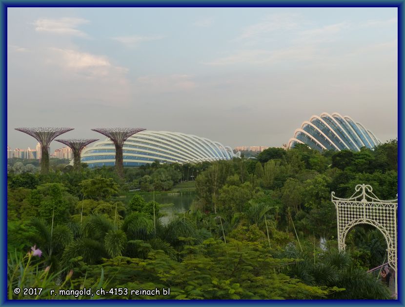 die als glaskuppel augebildeten gewchshuser flower dome und cloud forest