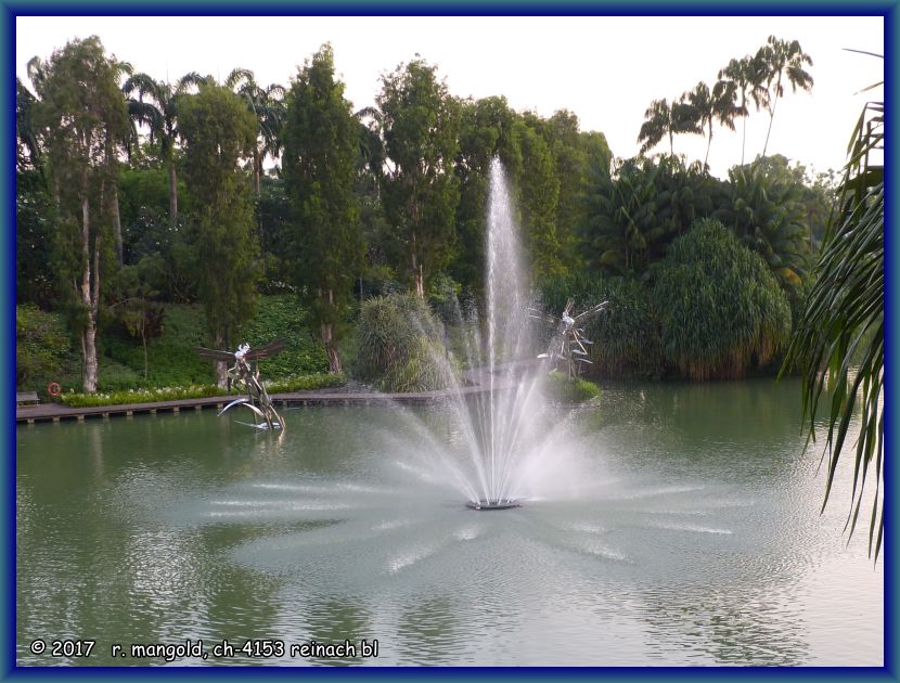 der springbrunnen im libellen-teich