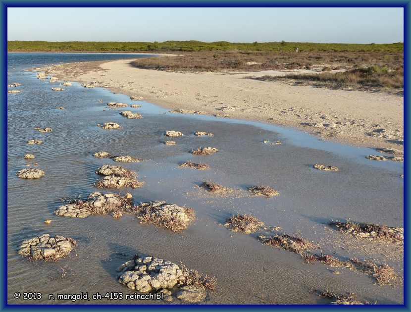 stromatolithen (lebende fossilien) im lake thetis bei cervantes (westaustralien) am  14.03.2012