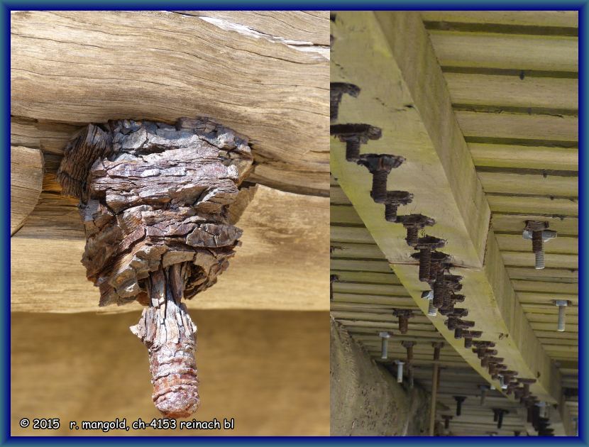 extrem verrostete schraube bei eden (s&uuml;dwestaustralien) am 10.04.2012