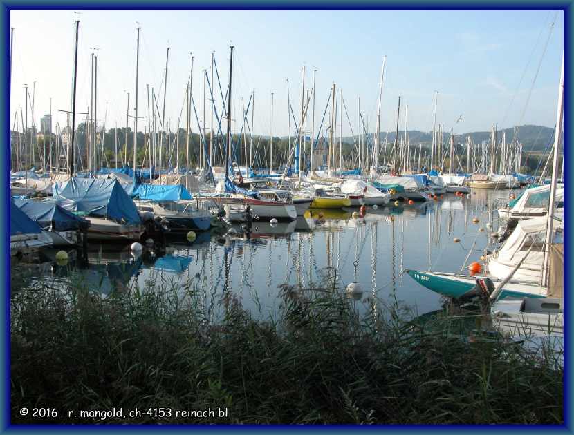 am jachthafen von estavayer le lac (schweiz) am 09.09.2005
