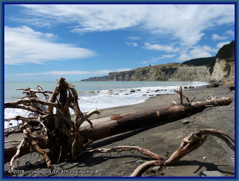 k�stenverlauf zum cape kidnappers bei te awanga (neuseeland nordinsel) am 09.02.2012