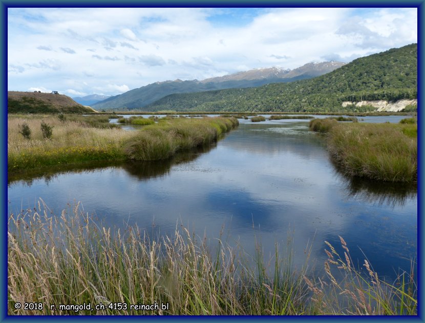 die tümpel der rakatu wetlands am fiordland nationalpark (neuseeland südinsel) am 15.01.2018