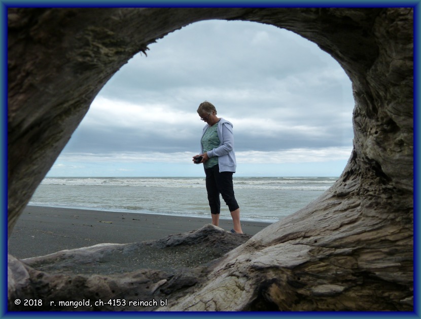 am strand von koitiata findet auch rita ihre fotosujets (neuseeland nordinsel) am 03.02.2018