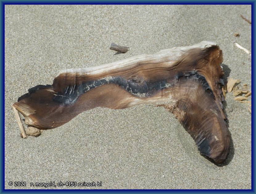 strandgut - wie ein verlorener stiefel im sand der anaura bay (neuseeland nordinsel) am 10.12.2017
