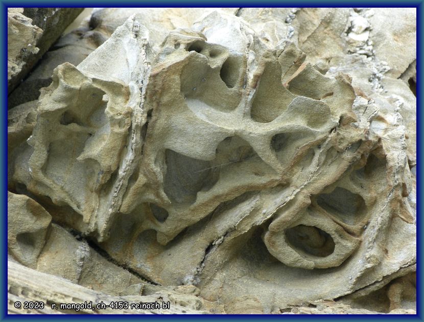 wundersch&ouml;n erodierte felsstruktur in der bucht von ōkiwi bay (neuseeland s&uuml;dinsel) am 19.12.2017