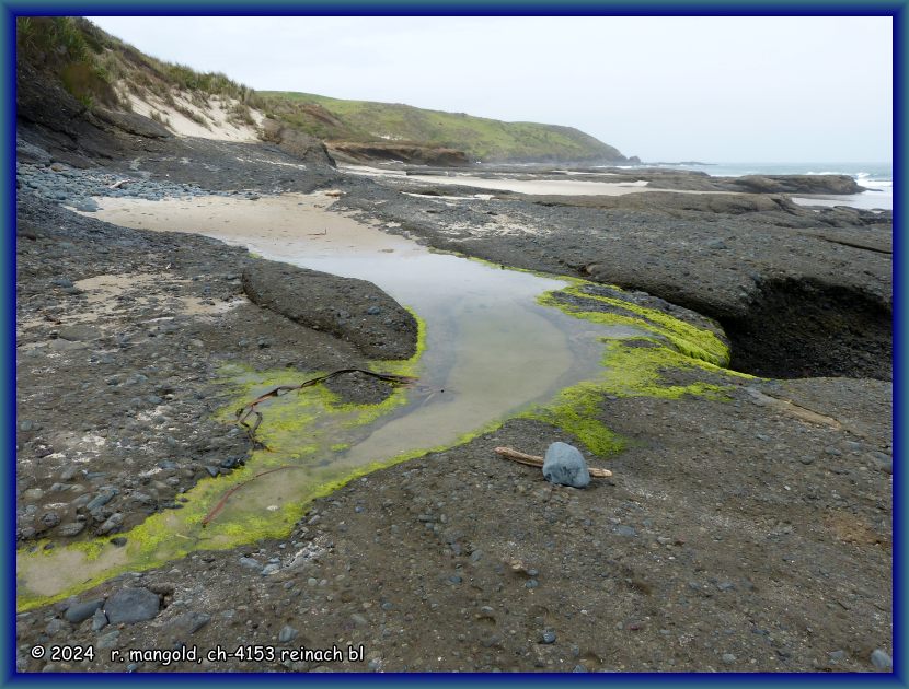 strand beim arai te uru natur-reservat bei omapere (neuseeland nordinsel) am 25.11.2017