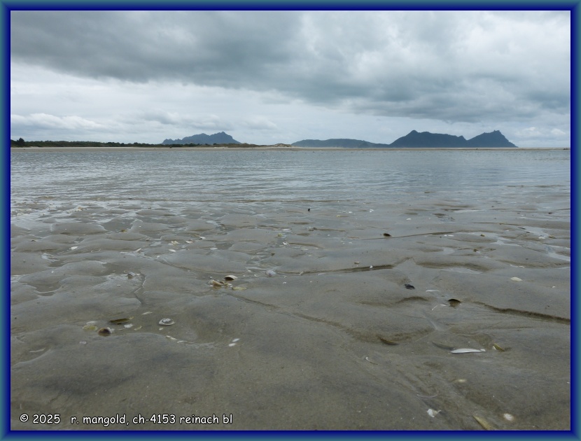 der strand bei ebbe bei unserem campingplatz in ruakaka (neuseeland nordinsel) am 19.11.2017