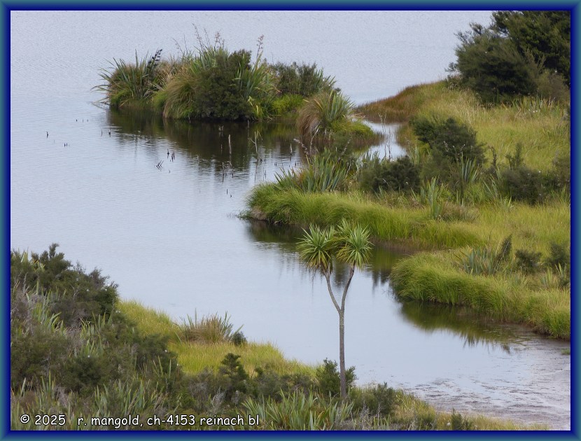 blick unweit vom strassenrand in die wetlands von rakatu (neuseeland s&uuml;dinsel) am 15.01.2018