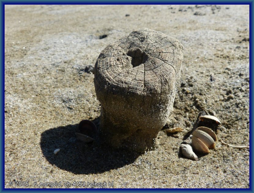 stillleben in der bucht bei oputere beach (neuseeland nordinsel) am 01.12.2017