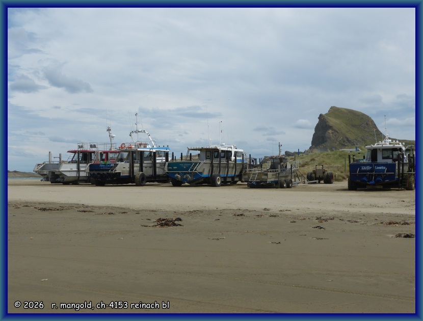 die am ende der bucht von castle point abgestellten schiffsanh&auml;nger (neuseeland nordinsel) am 01.02.2018