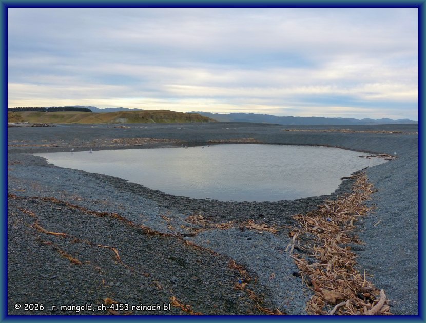 kleiner see mit schwemmholz am strand von lake ferry (neuseeland nordinsel) am 01.02.2018