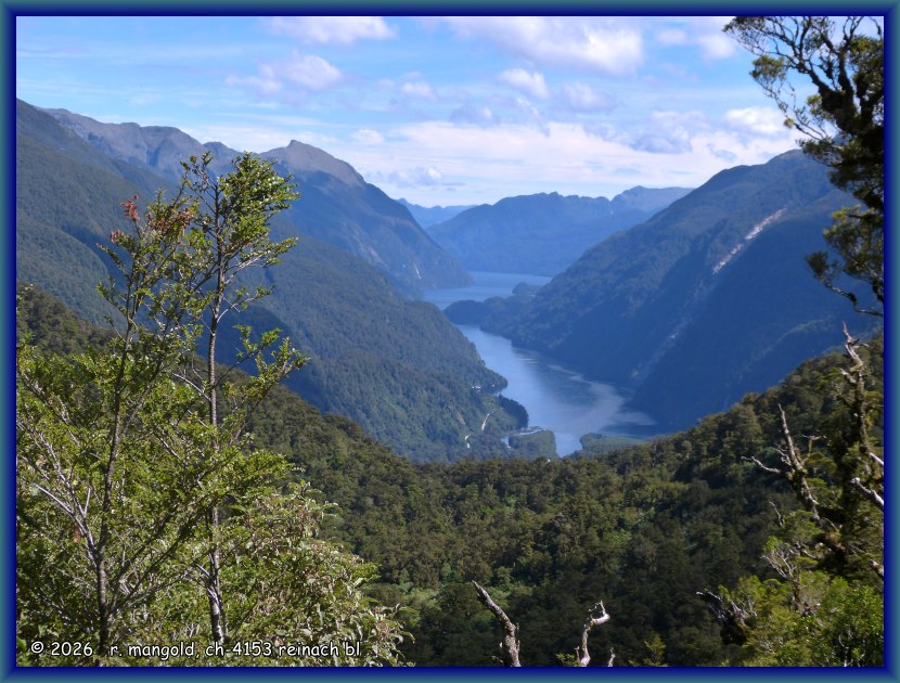 blick &uumlber den regenwald hinunter in den doubtful sound (neuseeland s&uuml;dinsel) am 14.01.2018
