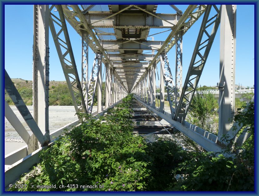 die alte seddon-br&uuml;cke &uuml;ber den awatere river w&auml;chts langsam zu (nz-s&uuml;dinsel) am 09.02.2008.