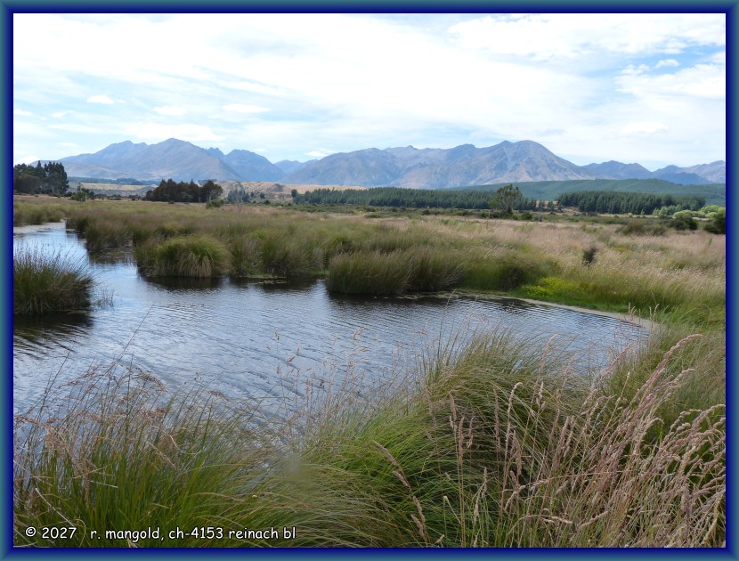 blick richtung berge &uuml;ber das weite gebiet der wetlands von rakatu (neuseeland s&uuml;dinsel) am 15.01.2018