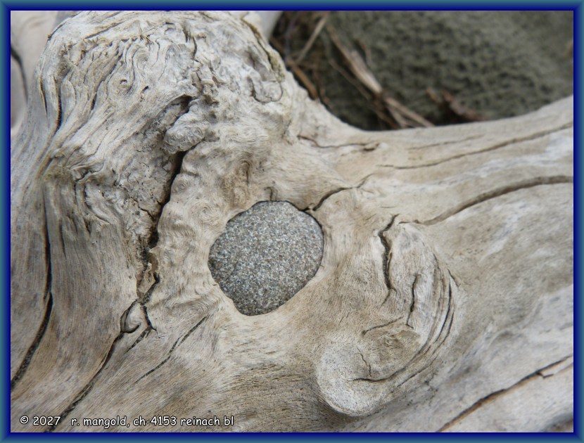 vom im holz eingeschlossenen stein ist nur noch wenig zu sehen, bei woodend beach (neuseeland s&uuml;dinsel) am 26.01.2018
