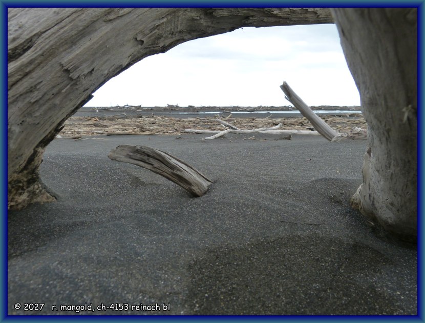 der mit schwemmholz &uuml;bers&auml;te strand von koitiata (neuseeland nordinsel) am 03.02.2018