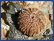 wochenbild-2024-05-20